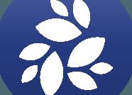 Монета NKN (NKN) - курс криптовалюты